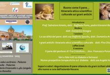 Buono come il pane… Itinerario etico scientifico culturale sui grani antichi