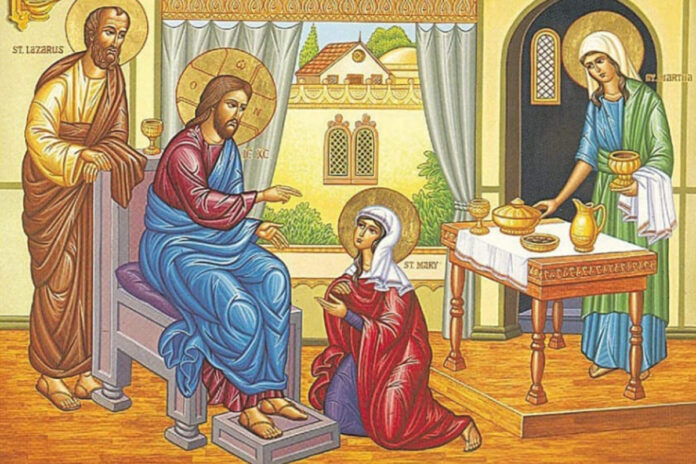 IMG-20260223-WA014800