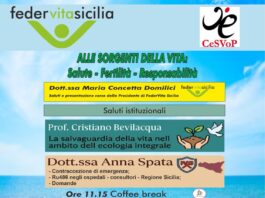 Alle Sorgenti della Vita: Salute – Feritità – Responsabilià